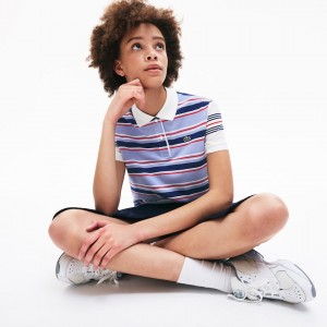 Camisa Polo Lacoste Classic Fit Striped Cotton Mujer Morados Azul Marino Azules Blancos Rojos Rosas Claro | HV2-40204W5