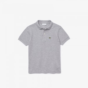 Camisa Polo Lacoste Niños Grises Petit Piqué BH5-47724U2