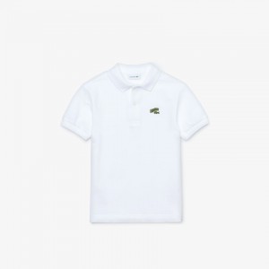 Camisa Polo Lacoste Niños Blancos Stylized Logo Cotton Petit Piqué SU0-41634K2