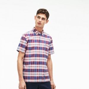 Camisas Lacoste Hombre Rojos Regular Fit Check Oxford DZ0-67616B2