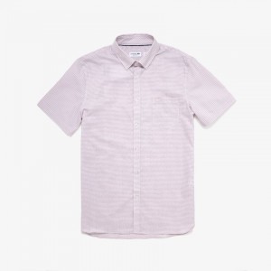 Camisas Lacoste Hombre Blancos Rosas Claro Regular- Fit Checkered Cotton DX4-34533Z8