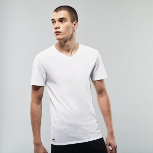 Camiseta Lacoste 3 Pack of Plains Hombre Blancos | AL2-72367Q7