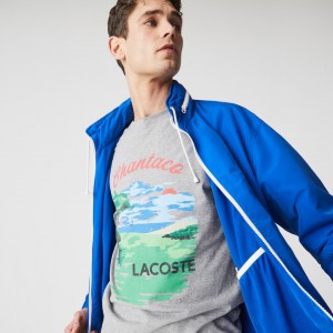 Camiseta Lacoste Crew Neck Landscape Print Cotton Hombre Grises Rojos | OE1-85158K2