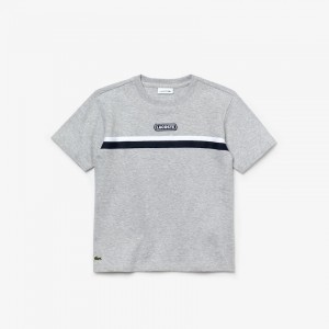 Camiseta Lacoste Niños Grises Blancos Azul Marino Azules Crew Neck Two-Tone Band Cotton VH0-63546R4