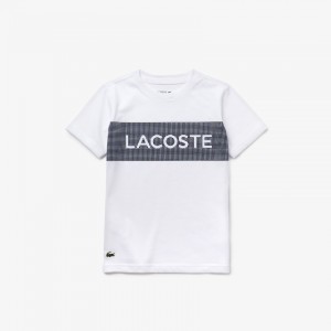 Camiseta Lacoste Niños Blancos Azul Marino Azules SPORT Lettering Cotton Jersey UN5-81438I4