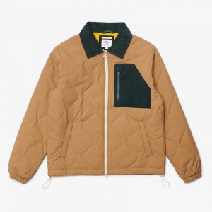 Chamarras Lacoste LIVE Quilted Hombre Beige Verdes Oscuro | GH2-70377E2