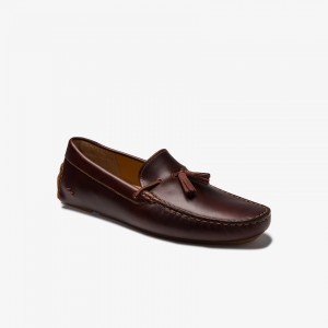 Mocasines Lacoste Dress Piloter Tassel Hombre Marrom Marrom | OW8-37823Y2