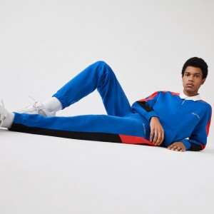 Pantalon Lacoste LIVE Embroidered Two-Tone Track Hombre Azules Blancos | YE4-64516O8