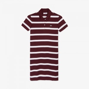 Vestido Tipo Polo Lacoste Striped Stretch Cotton Mujer Rojos Oscuro Rosas Claro Blancos | CI2-83428F4