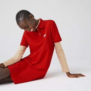 Vestido Tipo Polo Lacoste x National Geographic Cotton Piqué Mujer Rojos Blancos | EO8-14661U4