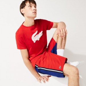 Short Lacoste SPORT Contrast Band Two-Tone Lightweight Hombre Rojos Azules | KP1-35203V8