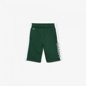 Short Lacoste Niños Verdes Blancos Two-Tone Fleece AM4-30073S6