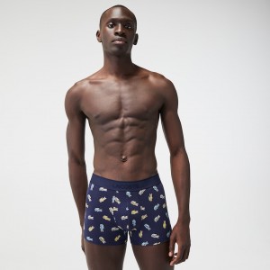 Short Lacoste x National Geographic Trunk Hombre Azul Marino Azules Blancos | RS1-18951A1