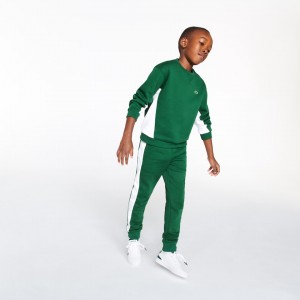 Sudaderas Lacoste Niños Verdes Blancos Crewneck Fleece ZY0-75177W6