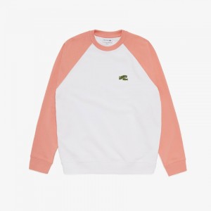 Sudaderas Lacoste Embroidered Logo Regular Fit Hombre Blancos Rosas | FT5-67866G1