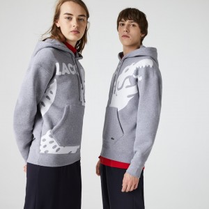 Sudaderas Lacoste LIVE Loose Fit Hooded Print Fleece Hombre Grises Blancos | CG4-63776V3