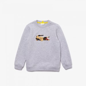 Sudaderas Lacoste Niños Grises Blancos x National Geographic Fleece XU9-23132A5