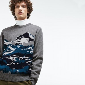 Suéteres Lacoste Crew Neck Alpine Print Wool And Cotton Jacquard Hombre Grises Verdes Azules Blancos | VI4-73717X6