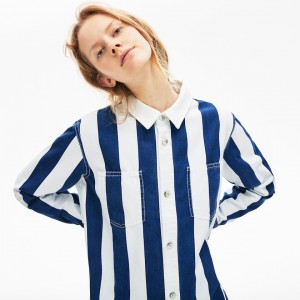 Vestido Lacoste LIVE Striped Cotton Shirtdress Mujer Blancos Azul Marino Azules | NT8-05180V6