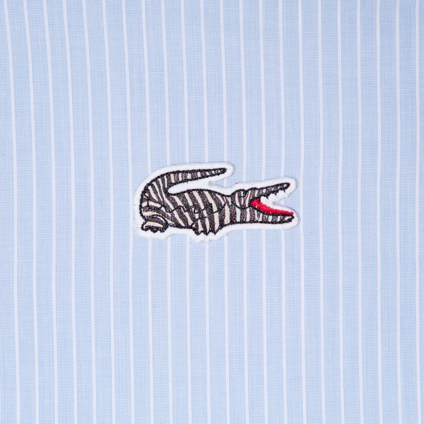 Camisas Lacoste Hombre Azules Blancos x National Geographic Regular Fit Striped Cotton LI6-55965H3