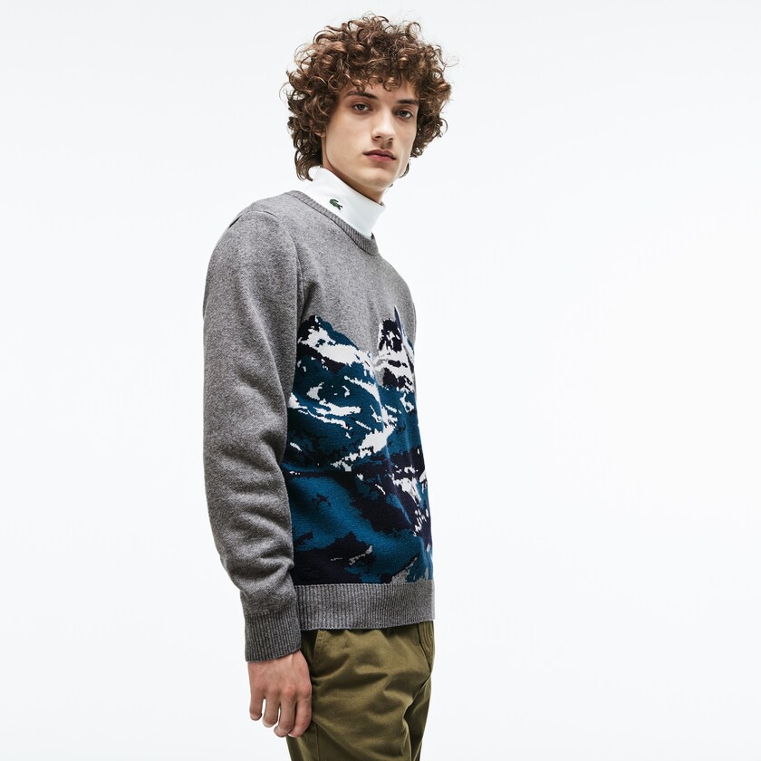 Suéteres Lacoste Crew Neck Alpine Print Wool And Cotton Jacquard Hombre Grises Verdes Azules Blancos | VI4-73717X6