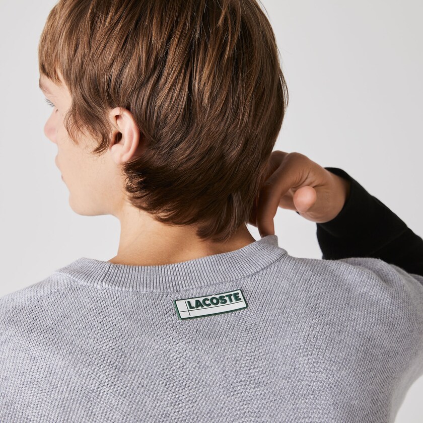 Suéteres Lacoste Crew Neck Colorblock Cotton Hombre Grises Blancos Negros | SZ1-11391S2