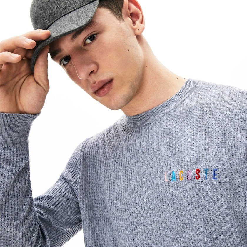 Suéteres Lacoste Crewneck Embroidered Cotton Blend Hombre Grises | XC6-11931M9