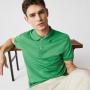 Verdes